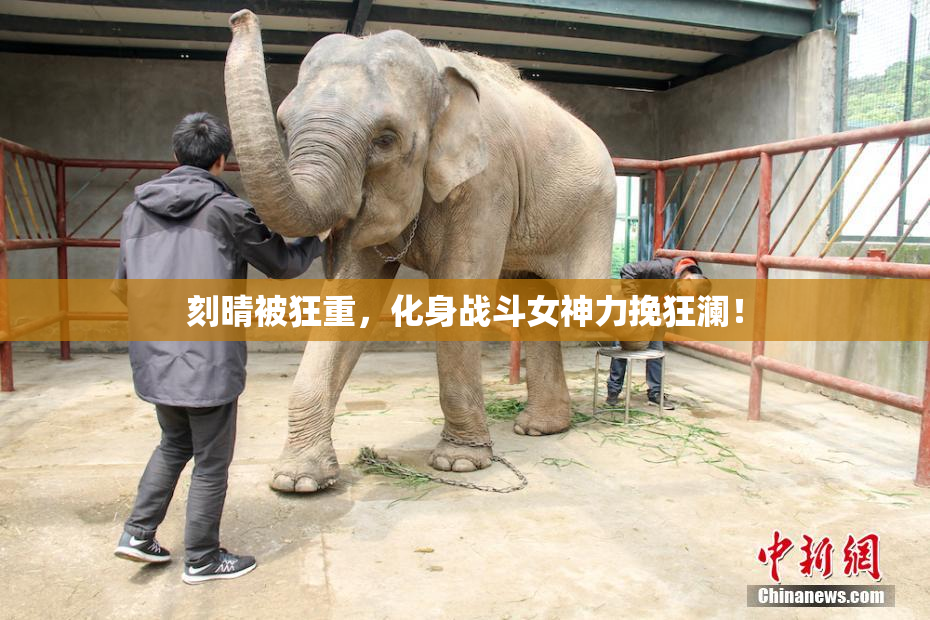 刻晴被狂重，化身战斗女神力挽狂澜！