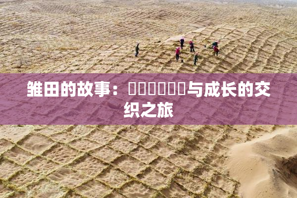 雏田的故事：❌‌❌‌❌‌与成长的交织之旅