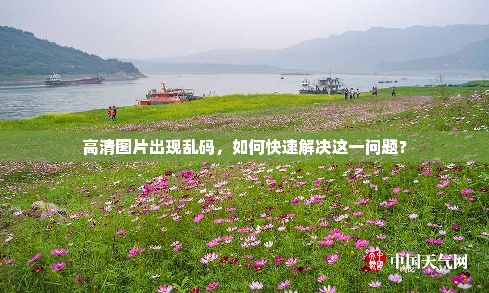 高清图片出现乱码，如何快速解决这一问题？