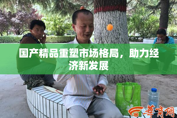 国产精品重塑市场格局，助力经济新发展
