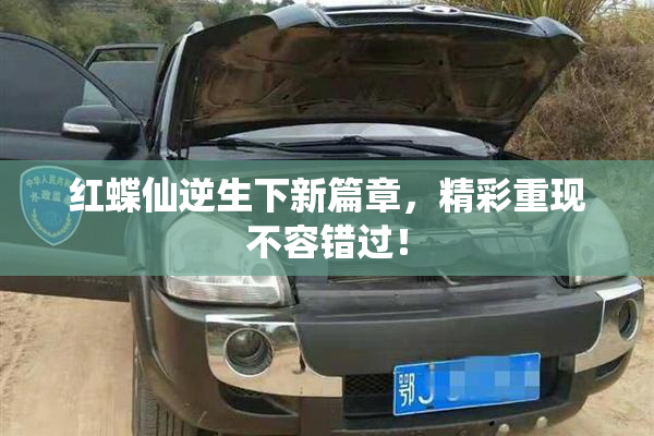 红蝶仙逆生下新篇章，精彩重现不容错过！