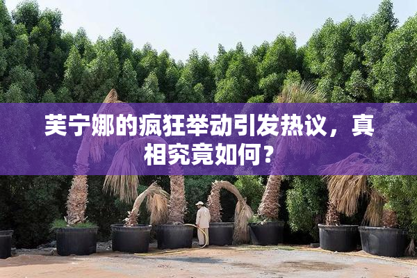芙宁娜的疯狂举动引发热议，真相究竟如何？
