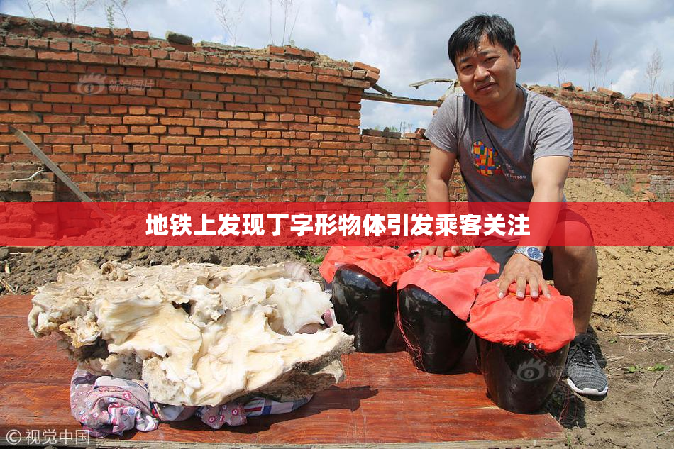 地铁上发现丁字形物体引发乘客关注