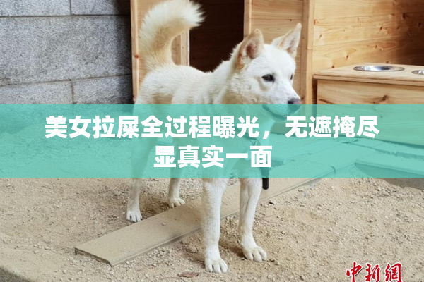 美女拉屎全过程曝光，无遮掩尽显真实一面
