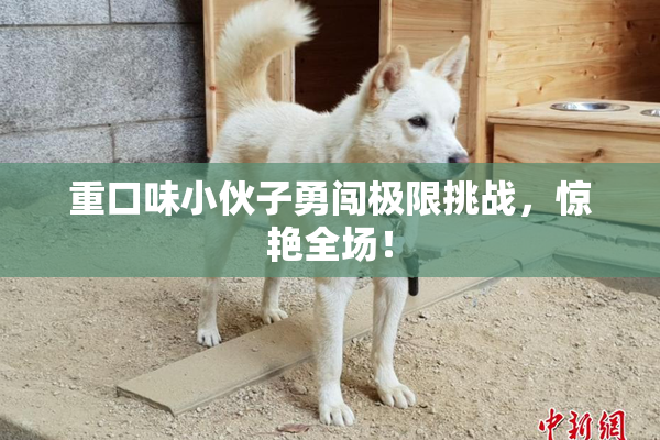 重口味小伙子勇闯极限挑战，惊艳全场！