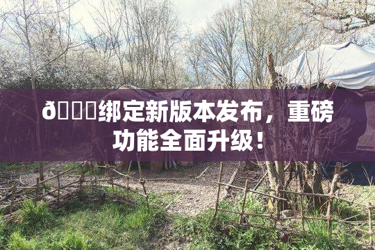 🔞绑定新版本发布，重磅功能全面升级！