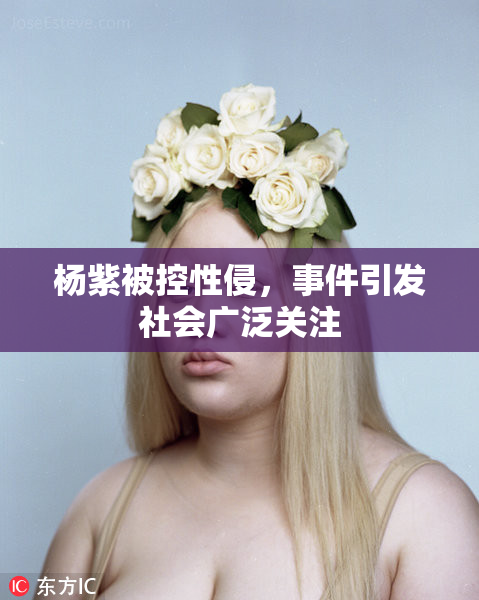 杨紫被控性侵，事件引发社会广泛关注