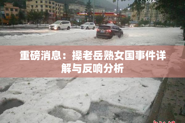 重磅消息：搡老岳熟女国事件详解与反响分析