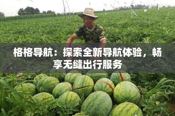 格格导航：探索全新导航体验，畅享无缝出行服务