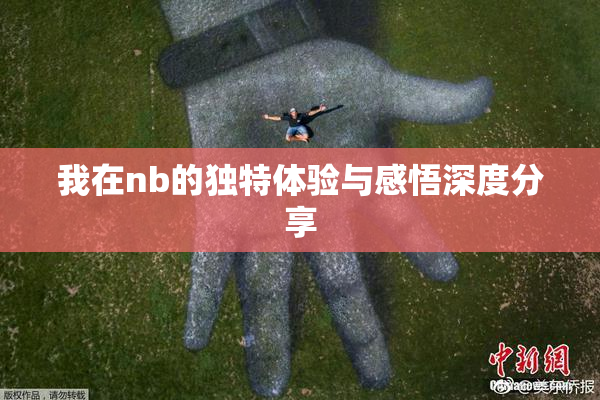 我在nb的独特体验与感悟深度分享