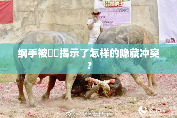 纲手被❌‌揭示了怎样的隐藏冲突？