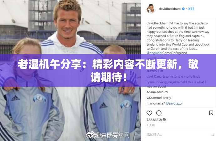 老湿机午分享：精彩内容不断更新，敬请期待！