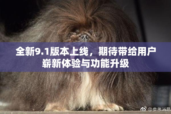 全新9.1版本上线，期待带给用户崭新体验与功能升级