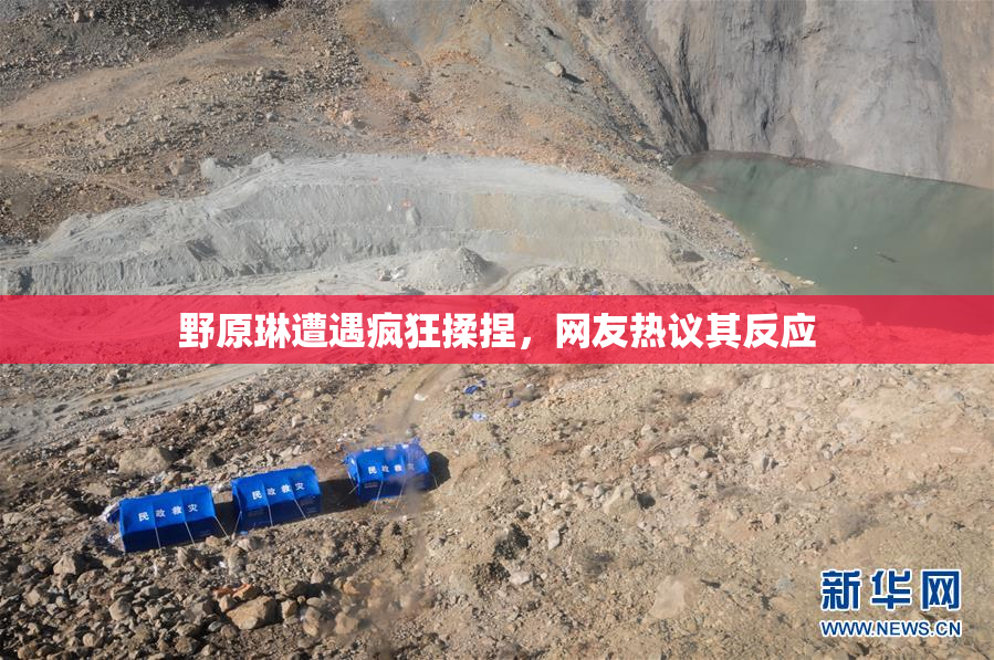 野原琳遭遇疯狂揉捏，网友热议其反应