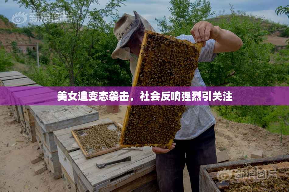 美女遭变态袭击，社会反响强烈引关注