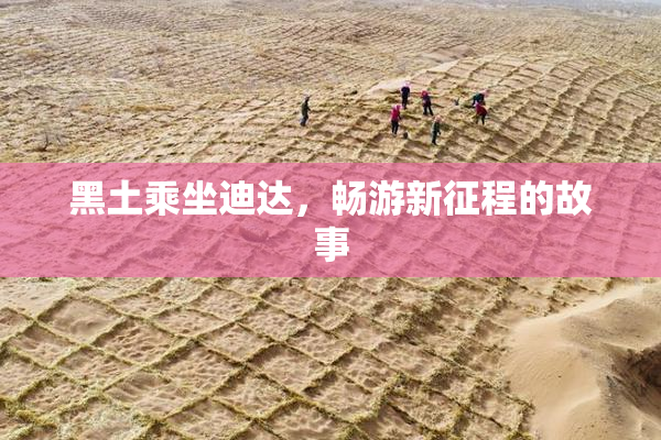 黑土乘坐迪达，畅游新征程的故事