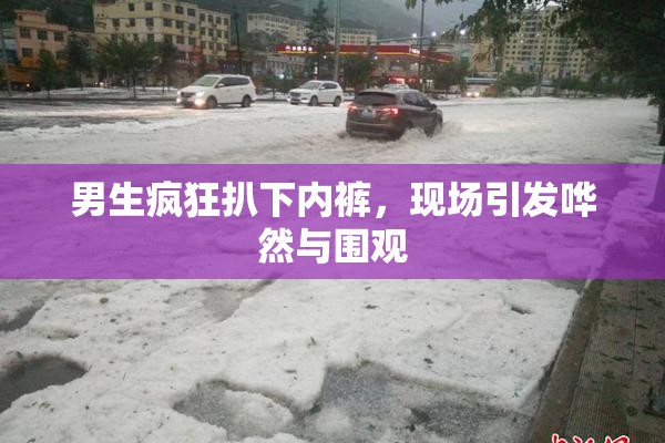 男生疯狂扒下内裤，现场引发哗然与围观