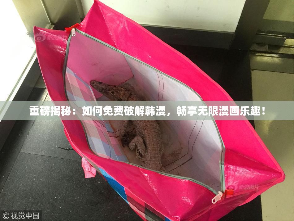 重磅揭秘：如何免费破解韩漫，畅享无限漫画乐趣！