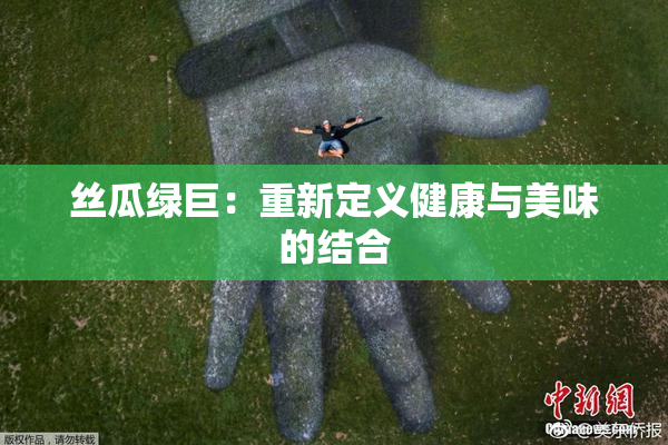 丝瓜绿巨：重新定义健康与美味的结合