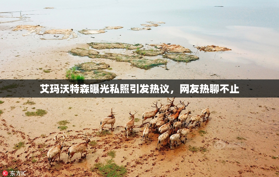 艾玛沃特森曝光私照引发热议，网友热聊不止