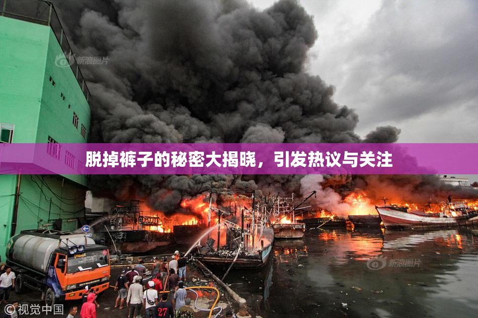 脱掉裤子的秘密大揭晓，引发热议与关注
