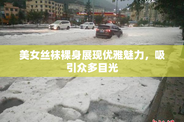 美女丝袜裸身展现优雅魅力，吸引众多目光