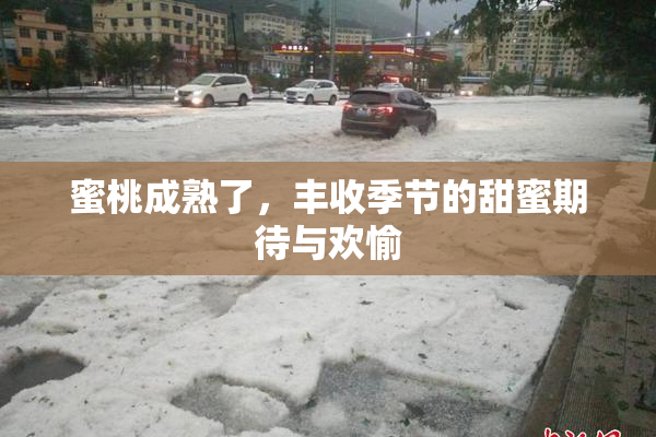 蜜桃成熟了，丰收季节的甜蜜期待与欢愉