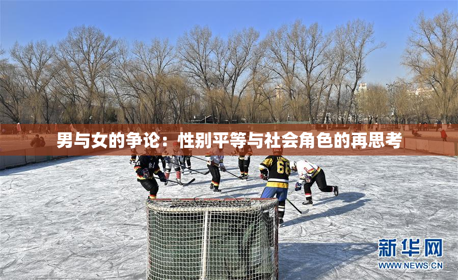 男与女的争论：性别平等与社会角色的再思考