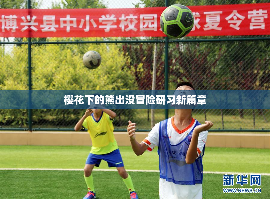 樱花下的熊出没冒险研习新篇章