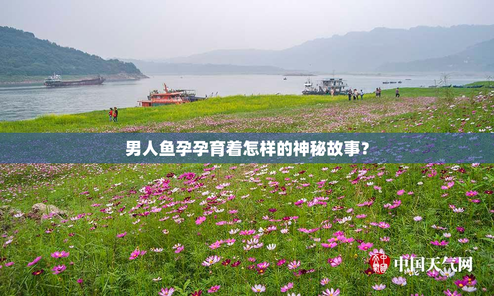 男人鱼孕孕育着怎样的神秘故事？