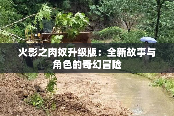 火影之肉奴升级版：全新故事与角色的奇幻冒险