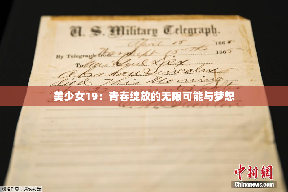 美少女19：青春绽放的无限可能与梦想