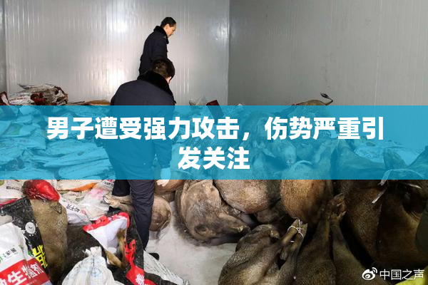 男子遭受强力攻击，伤势严重引发关注