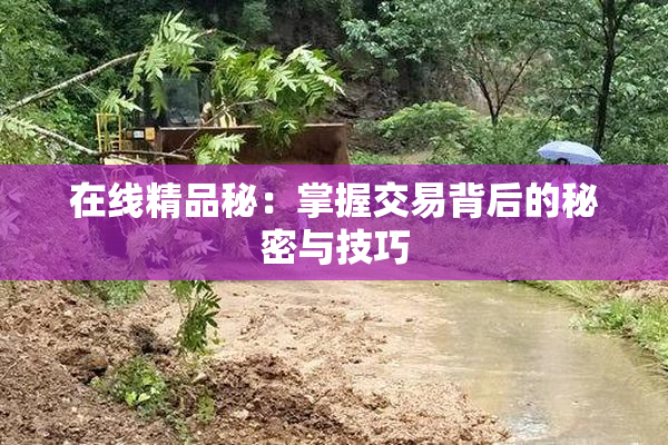 在线精品秘：掌握交易背后的秘密与技巧