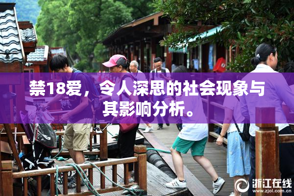 禁18爱，令人深思的社会现象与其影响分析。