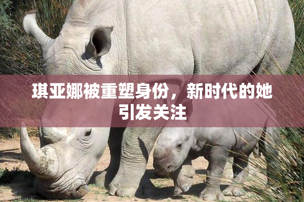 琪亚娜被重塑身份，新时代的她引发关注
