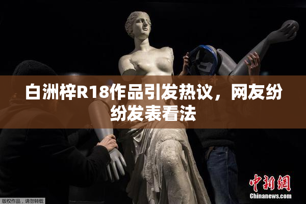 白洲梓R18作品引发热议，网友纷纷发表看法