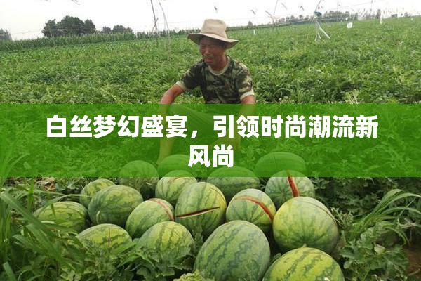 白丝梦幻盛宴，引领时尚潮流新风尚