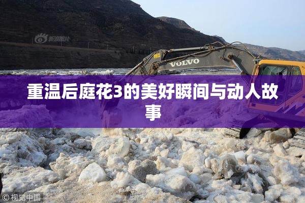 重温后庭花3的美好瞬间与动人故事