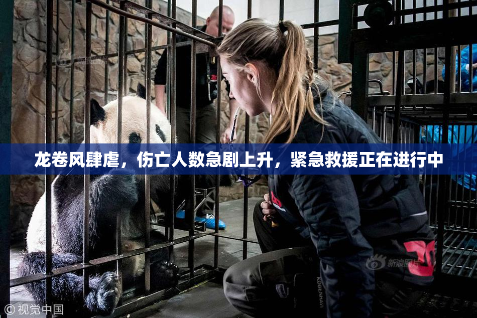 龙卷风肆虐，伤亡人数急剧上升，紧急救援正在进行中