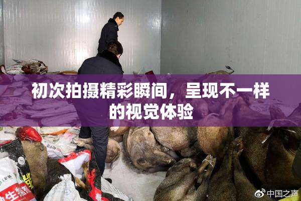 初次拍摄精彩瞬间，呈现不一样的视觉体验