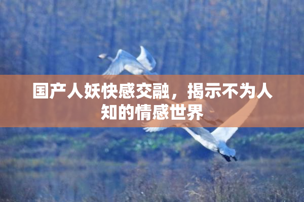 国产人妖快感交融，揭示不为人知的情感世界