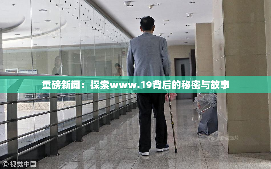 重磅新闻：探索www.19背后的秘密与故事