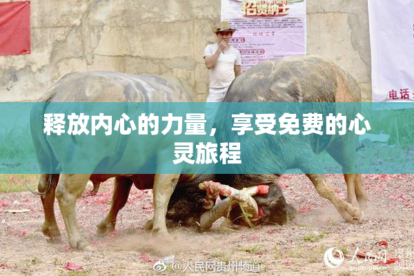 释放内心的力量，享受免费的心灵旅程