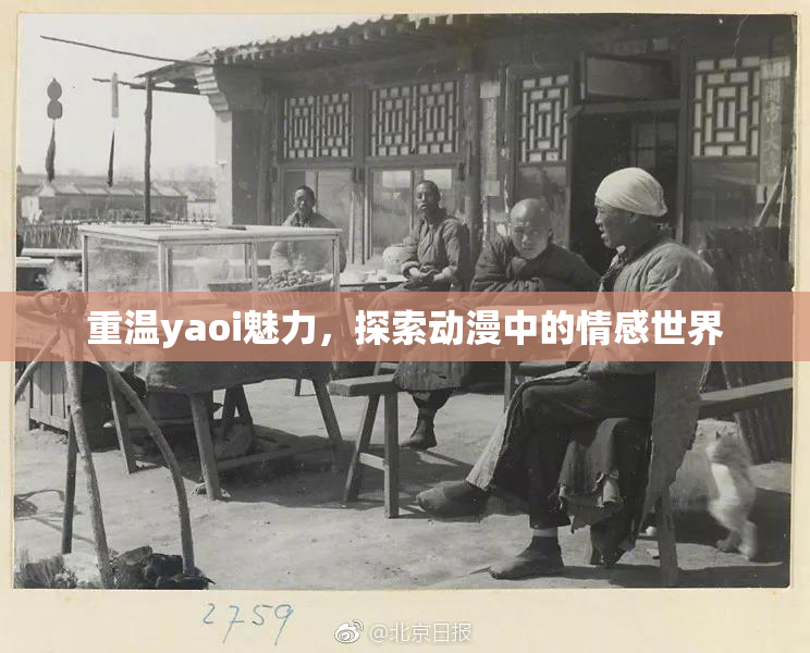 重温yaoi魅力，探索动漫中的情感世界