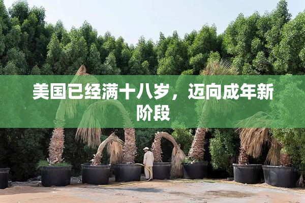 美国已经满十八岁，迈向成年新阶段
