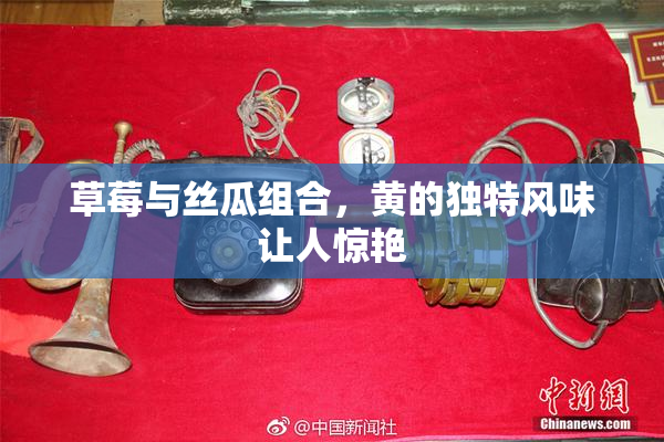 草莓与丝瓜组合，黄的独特风味让人惊艳