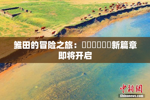 雏田的冒险之旅：❌‌❌‌❌‌新篇章即将开启