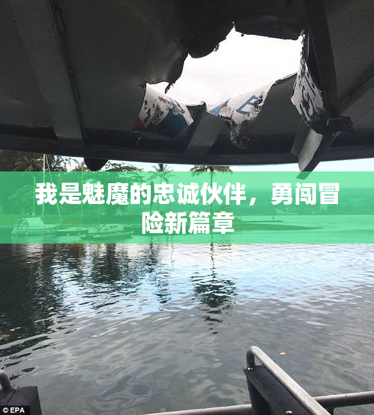 我是魅魔的忠诚伙伴，勇闯冒险新篇章