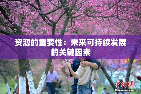 资源的重要性：未来可持续发展的关键因素